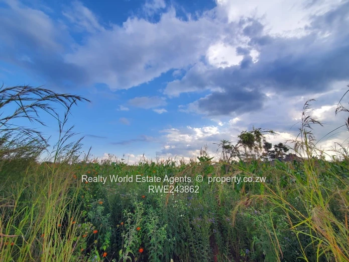 For Sale: Residential Stand in Haydon Park, Harare