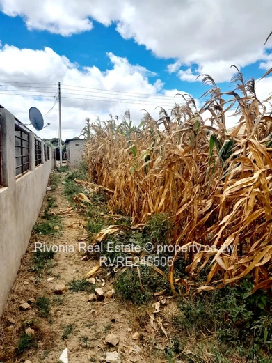 200 m² Southlea Park Stand nice and Boundary Wall