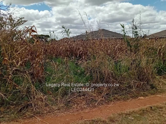 Good Investment Opportunity