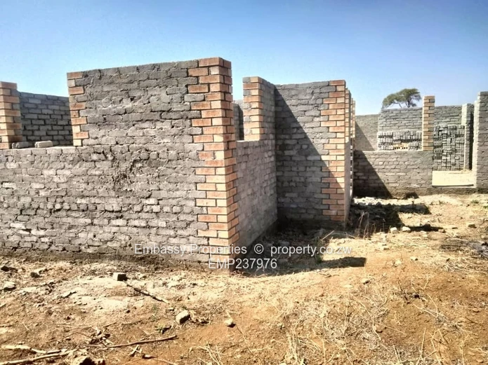 Investment opportunity