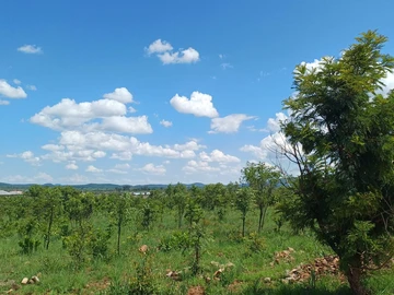 Commercial & Industrial Land