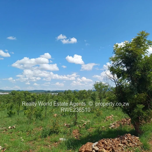 Masvingo Clipsham Stand For A School 