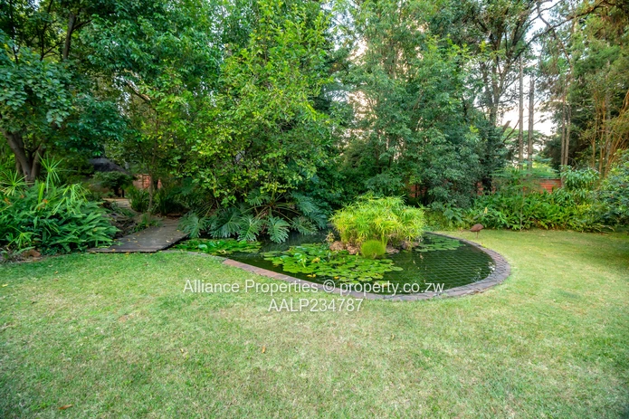 A magnificent opulent family home in Marlbrough (Sole Mandate)