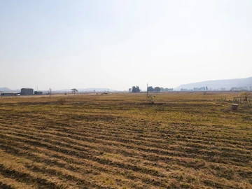 Farm & Agricultural Land