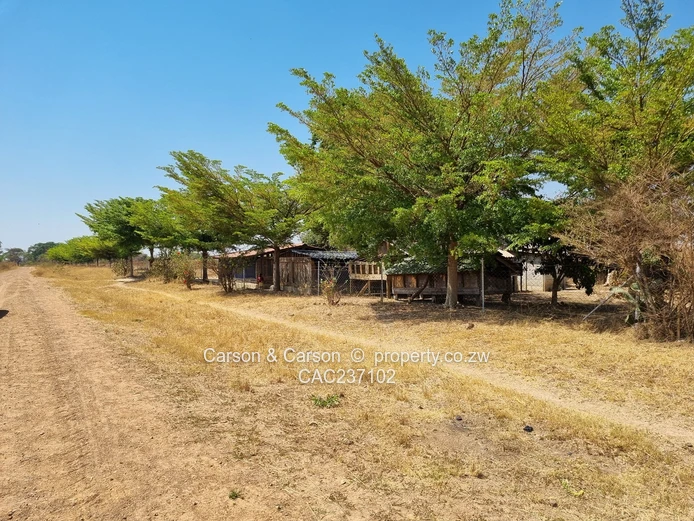 Ideally located plot for smallholding projects..