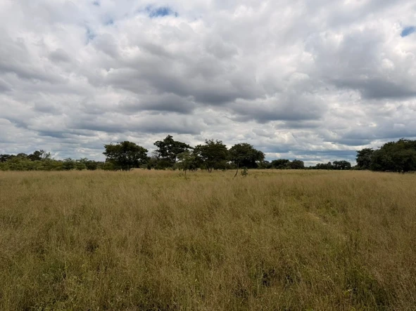 Farm & Agricultural Land