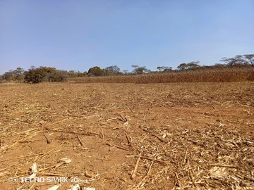 Farm & Agricultural Land