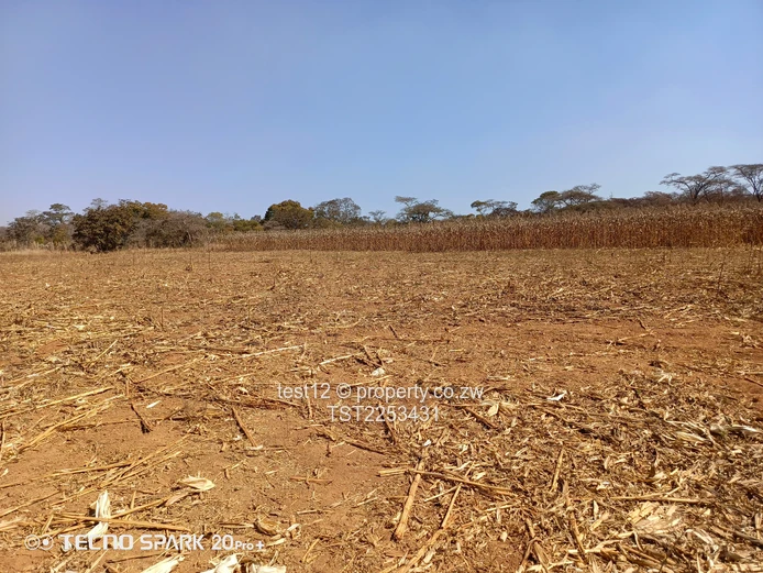 Mazowe Farm For Sale  (Sole Mandate)