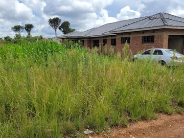 Stands & Residential Land