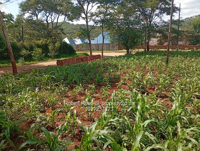 Residential Corner Stand For Sale In Glen Lorne