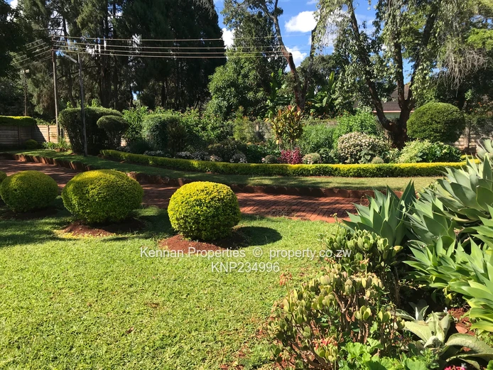 Mandara New on the Market