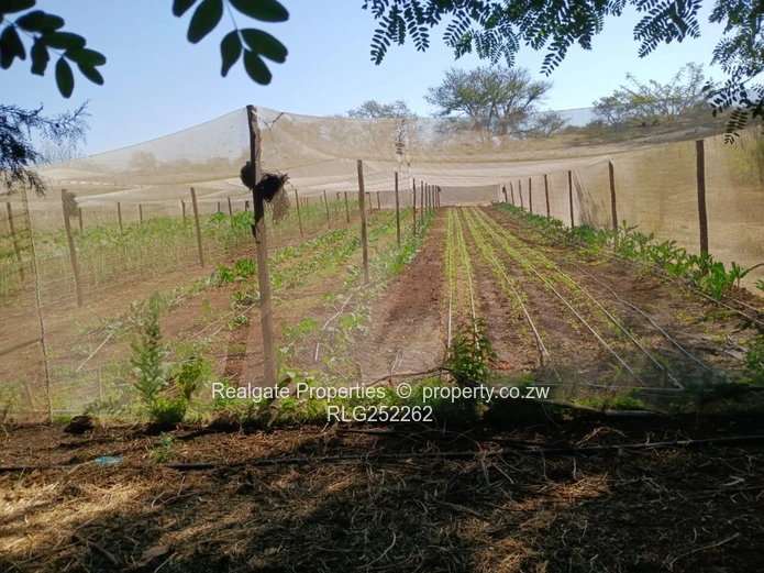  Prime 5-Acre Plot For Sale | Douglasdale
