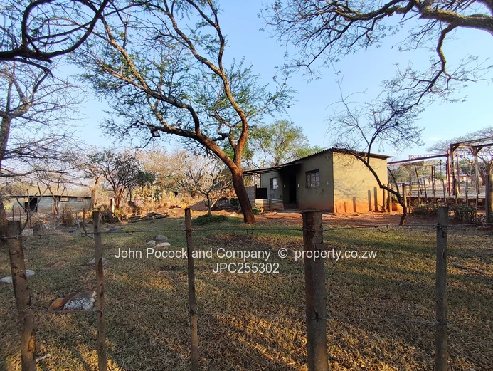 Dream Home On Functioning Farm