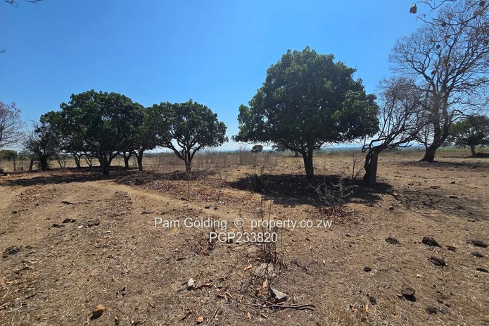 An Exceptional 428 Hectare Somabhula Farm