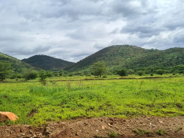 Farm & Agricultural Land