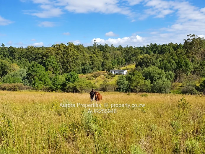 Expansive Farm In Airdale, Nyanga