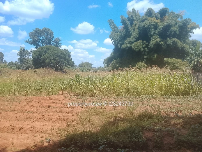 Haig Park Mabelreign  (Sole Mandate)