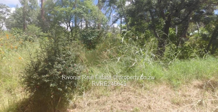 GILSTONE AFTER SKYLINE NEW opportunity 