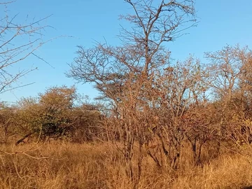 Farm & Agricultural Land