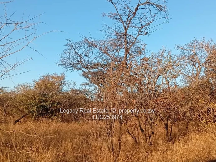 50.6ha Zvimba Farm — Fenced Grazing, Arable Land & Dam (Sole Mandate)