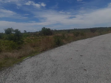 Farm & Agricultural Land