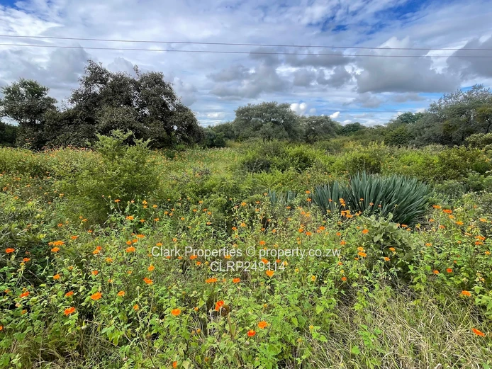 3 Acres on 3 Title Deeds