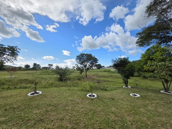 Farm & Agricultural Land