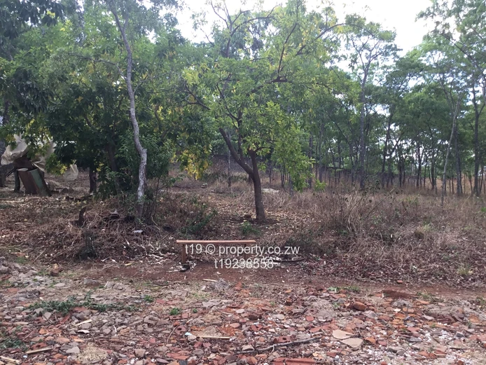 Development Opportunity 