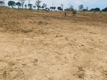 Commercial & Industrial Land