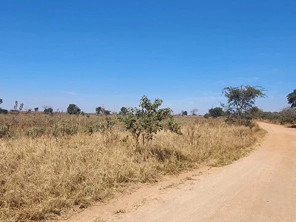 Farm & Agricultural Land