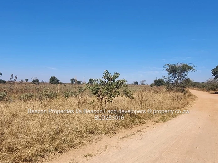 Prime Hurngwe Plots For Sale 