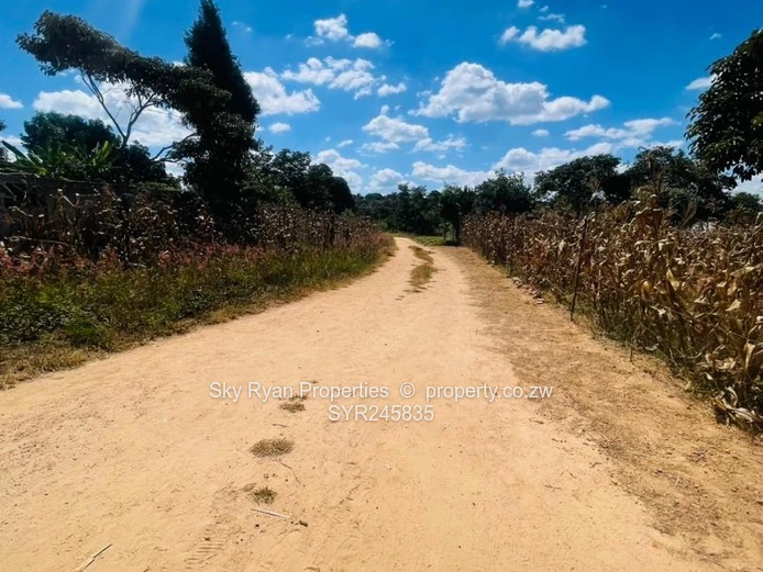 Crowhill Stand For Sale