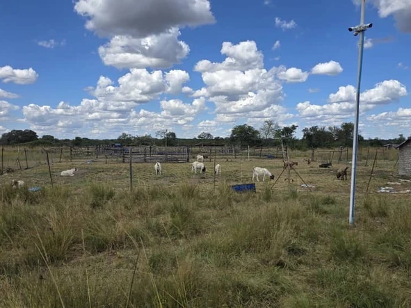 Farm & Agricultural Land