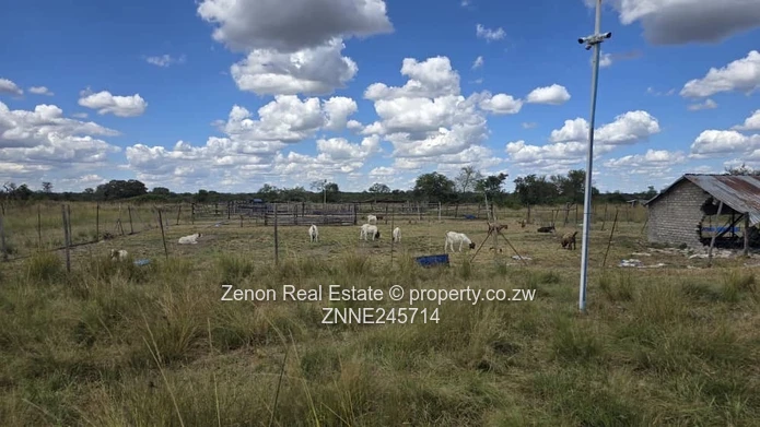 Beatrice Plot For Sale (Sole Mandate)