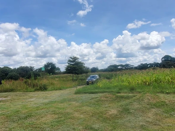 Farm & Agricultural Land