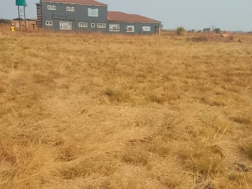 Farm & Agricultural Land