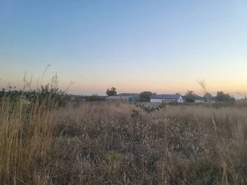 Stands & Residential Land