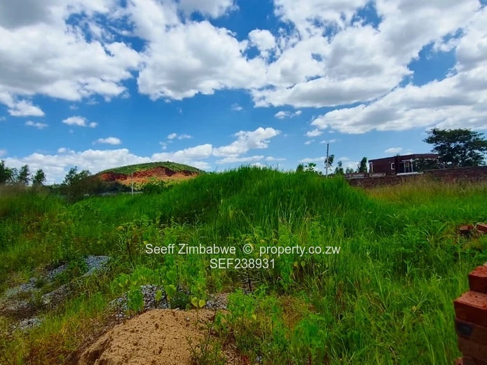 Prime 453m² Stand in Cold Comfort — Tarred Road & Services