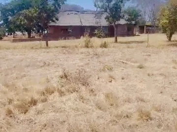 Farm & Agricultural Land