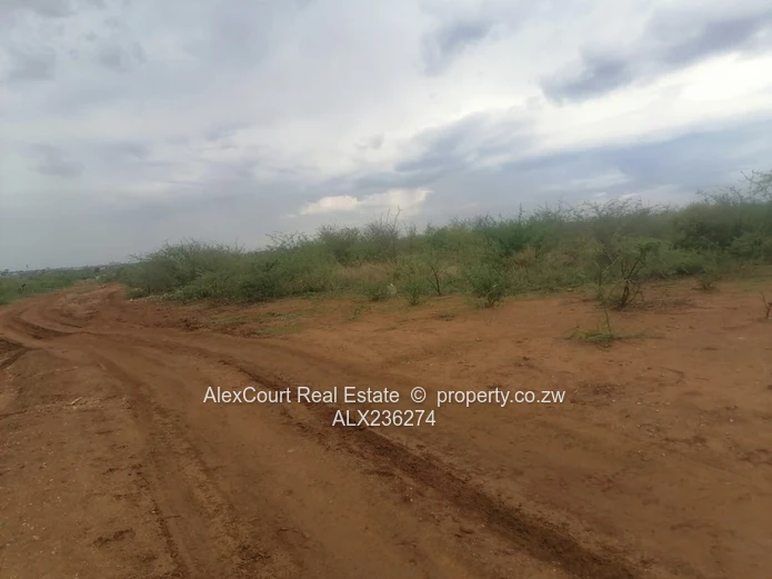 2-hectare (5-acre) Plot Up For Grabs!