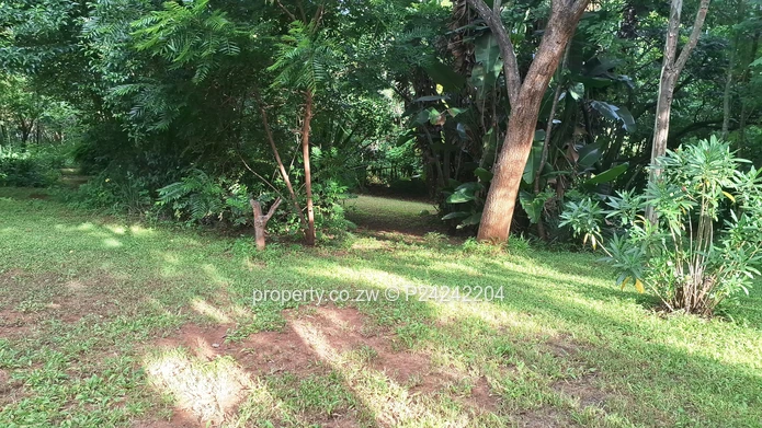 Greystone Park $185K