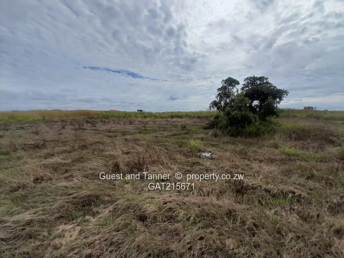 Negotiable Residential Stand for Sale – Baron Brooke, Mashonaland East