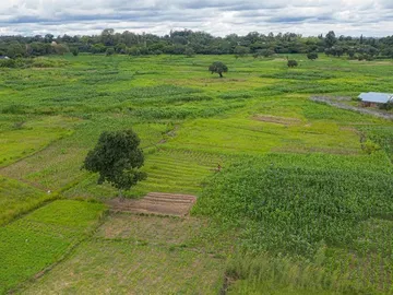 Commercial & Industrial Land