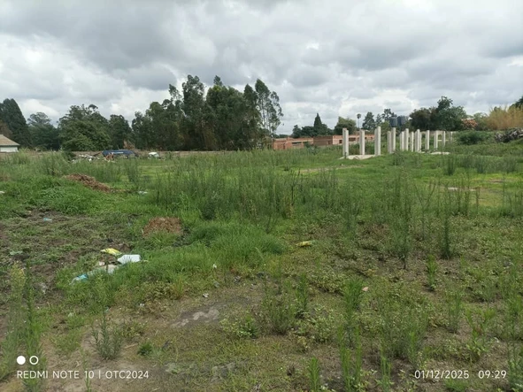 Stands & Residential Land