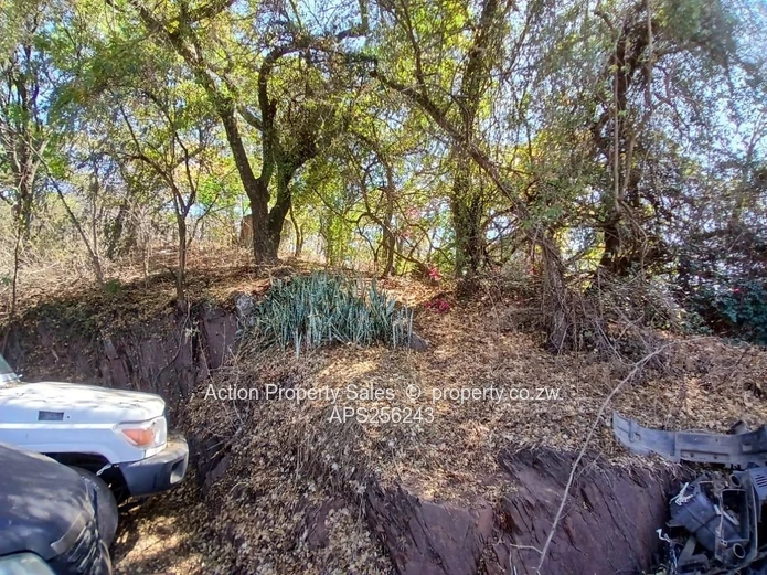 6936 Square Meters Of Land! 