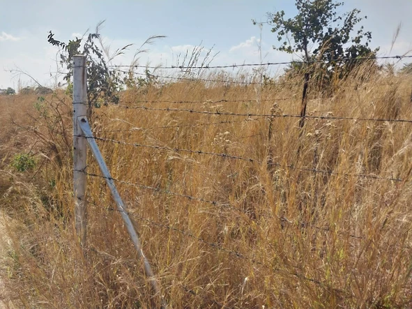 Farm & Agricultural Land