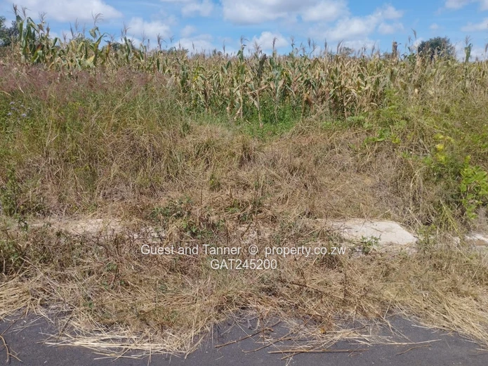 Residential Land For Sale In Buckland Terraces Estate Pomona