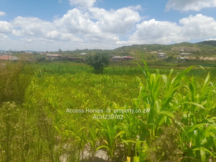 Crowhill Views  (Sole Mandate)