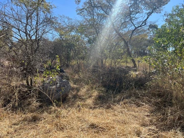 Farm & Agricultural Land