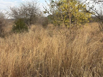 Commercial & Industrial Land